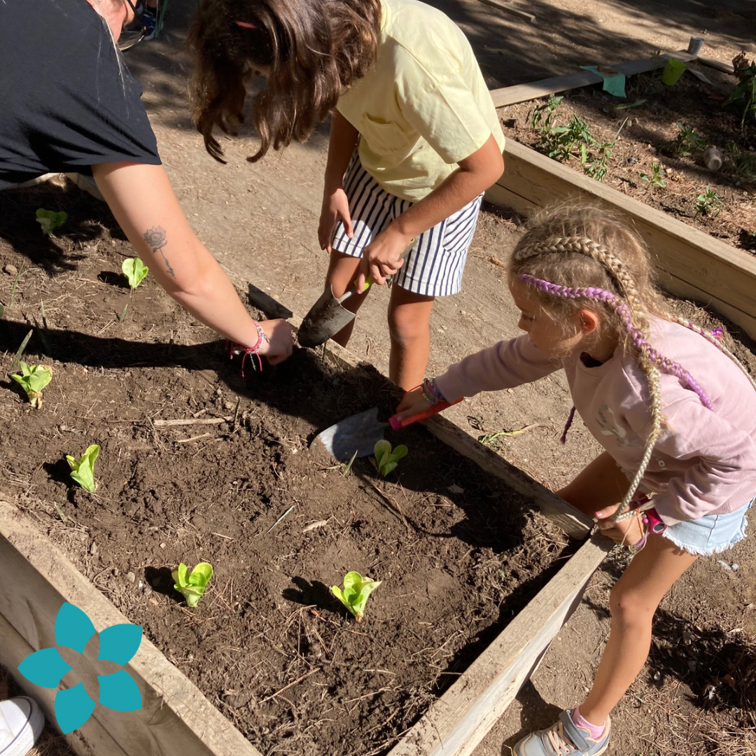 Math Camp 17 al 21 agosto 3 Math Camp 17 al 21 agosto - Imagen 3