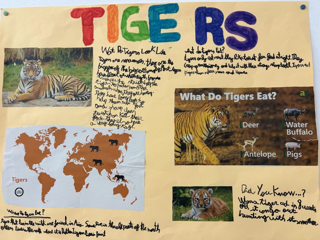 Presentaciones en inglés en Primaria 20 english